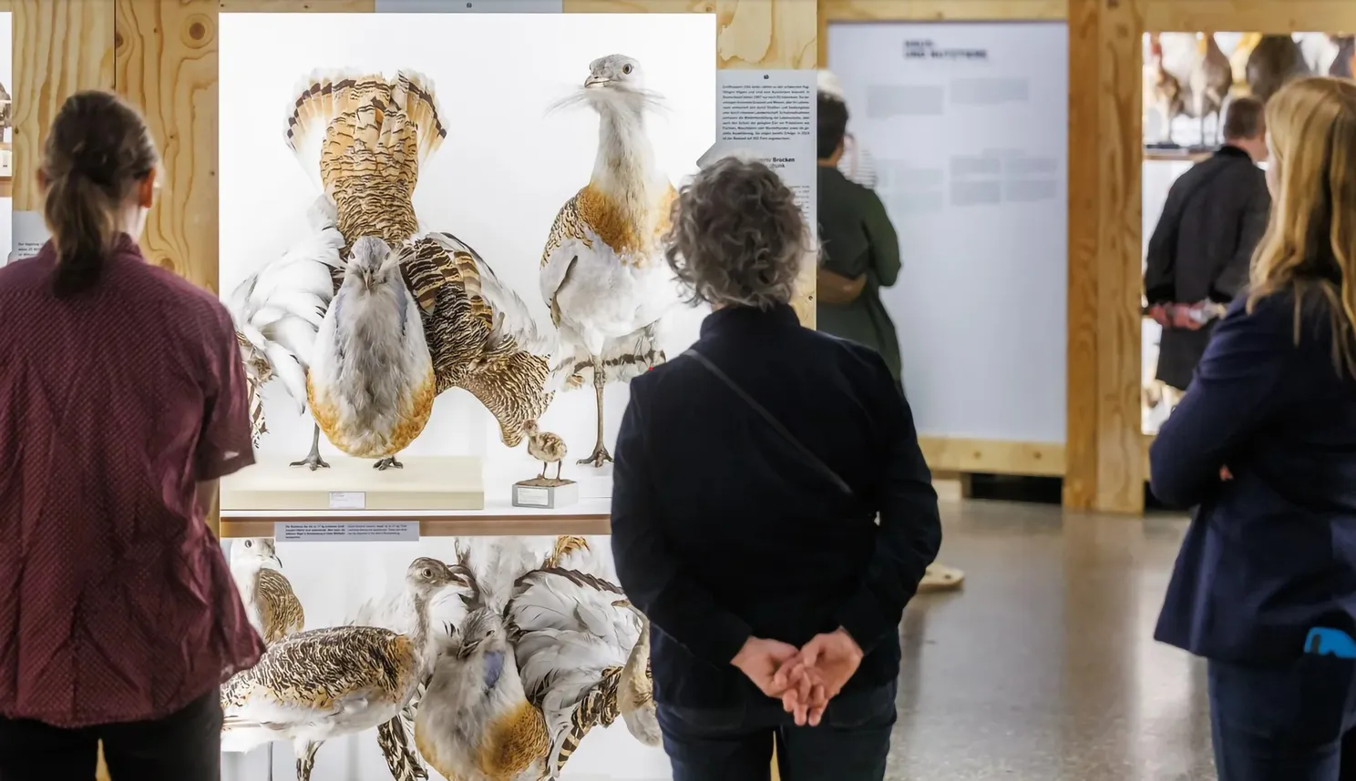 Private-Guide-Berlin-Art-Naturkundemuseum-AM-8.jpg